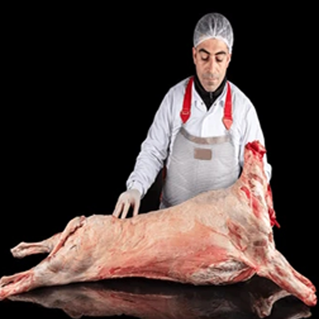 Lamb carcasses and prime cuts